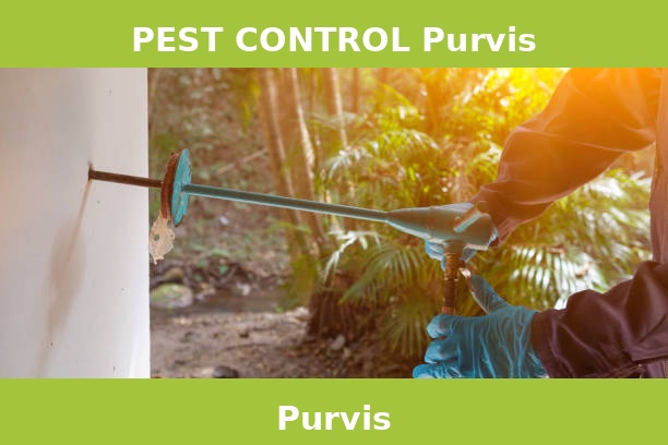 PEST CONTROL Purvis